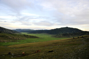 草原风光下的广阔天地