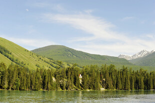 青山绿水间的森林美景