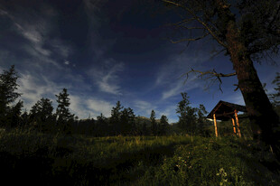 静谧夜下的林间小屋