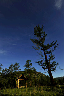 夜幕下的林间小屋与孤树