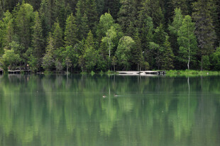 宁静湖畔森林倒影美景