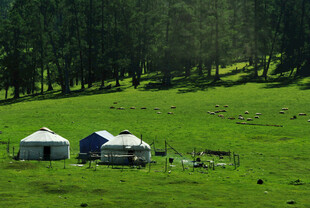 草原上的蒙古包与自然风光