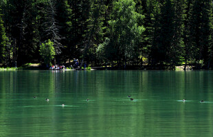 静谧湖畔的自然景致