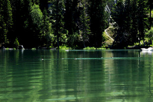 静谧翠绿湖水与岸边树林