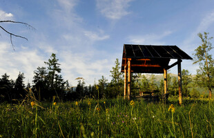 草原上的木质凉亭