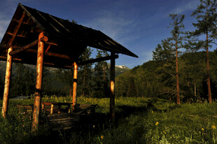 林间木亭 静谧自然之景