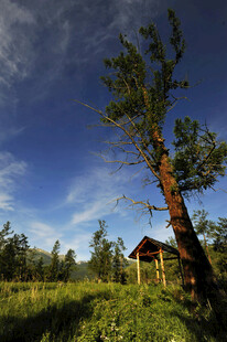 林间小屋 静谧自然之景