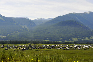 山间绿野中的村落景观