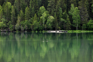 静谧湖畔森林倒影美景