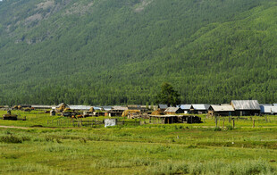 草原上的村庄与牲畜