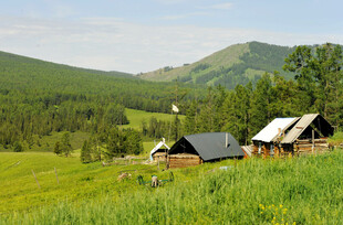 山间绿野中的质朴小屋