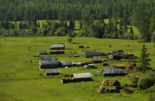 山间村落 绿野中的宁静家园
