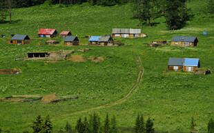 山间绿野中的乡村聚落