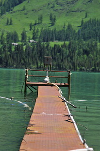 湖畔的木质长码头