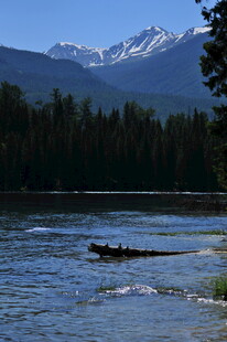 河畔山林间的泛舟景致