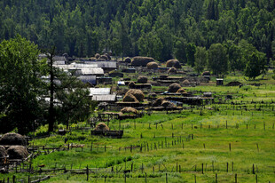 山间绿野与散落石堆景观