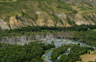 山间蜿蜒河流与葱郁植被
