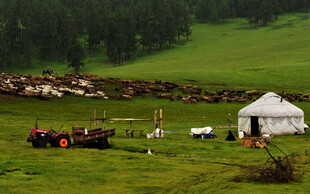 草原上的蒙古包与田园风光