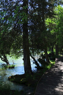林间湖畔漫步小径美景