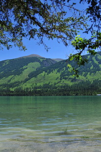 湖畔青山绿树自然风光