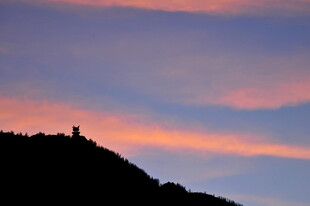 黄昏山巅剪影美景