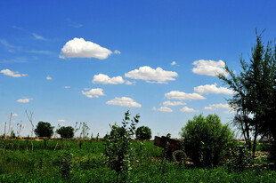 蓝天绿地间的清新田园风光