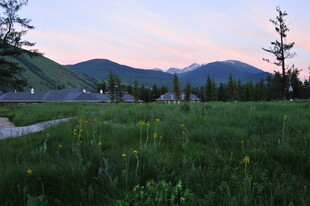 黄昏下的草地与远山景色