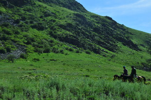 草原上的骑马者