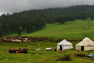 草原上的蒙古包与人群