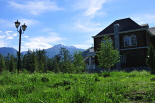 草地旁的山间精致住宅