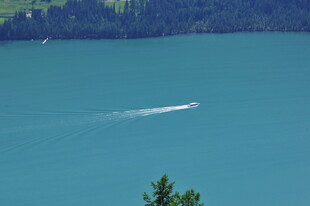 湖面上疾驰的白色快艇