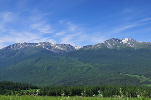 壮丽山峦与葱郁植被景观