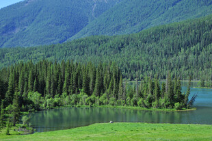 青山绿水间的森林湖泊