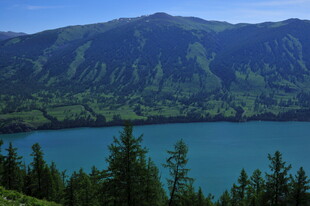 高山湖畔的翠绿森林美景