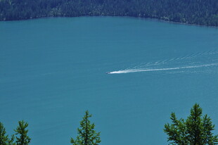 湖面上的船只与岸边绿树