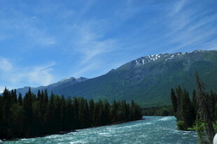 山间河流与葱郁林木景观