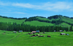 草原牧场景色如画