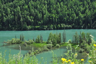湖畔绿野繁花迷人风光