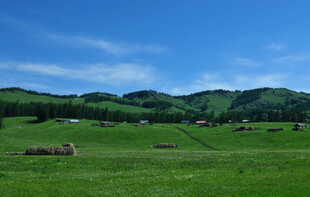 广袤绿野中的田园风光
