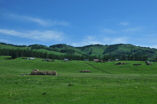 草原风光 远处山峦与草垛