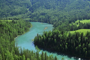 蜿蜒河流穿行翠绿山林