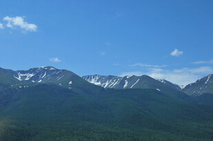 壮丽雪山与葱郁山林景观