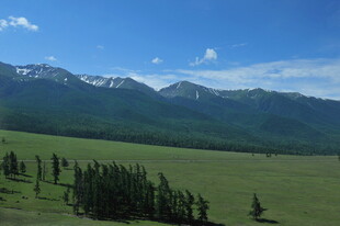 广袤草原与远处山峦美景