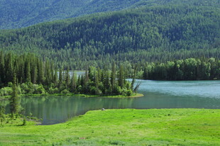 湖畔绿野山林美景