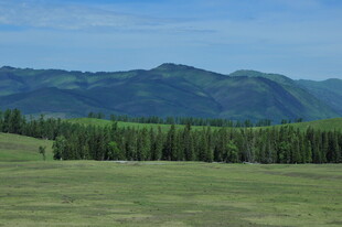 草原山林风景图