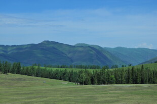 草原山林间的壮美风光