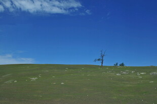 草原上的电力设施与蓝天