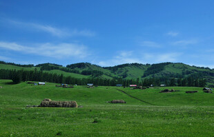 草原风光 远处山峦与草垛