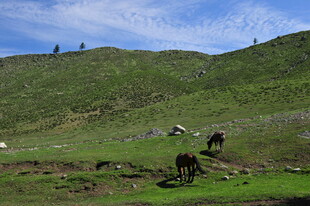 草原上的劳作场景
