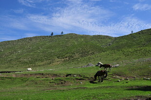 山地摩托飞跃绿色山坡